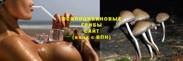 гидропоника Самара