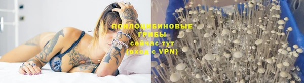 кокс Зуевка