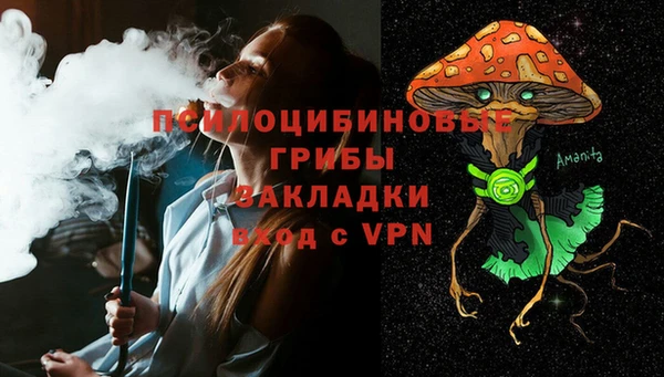 крисы Покровск