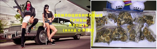 винт Покров